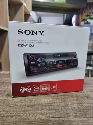 Sony DSX-A110U