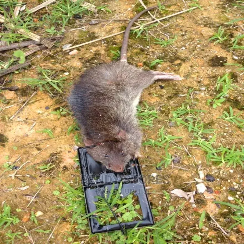 2pcs Mouse Trap Re Usable
