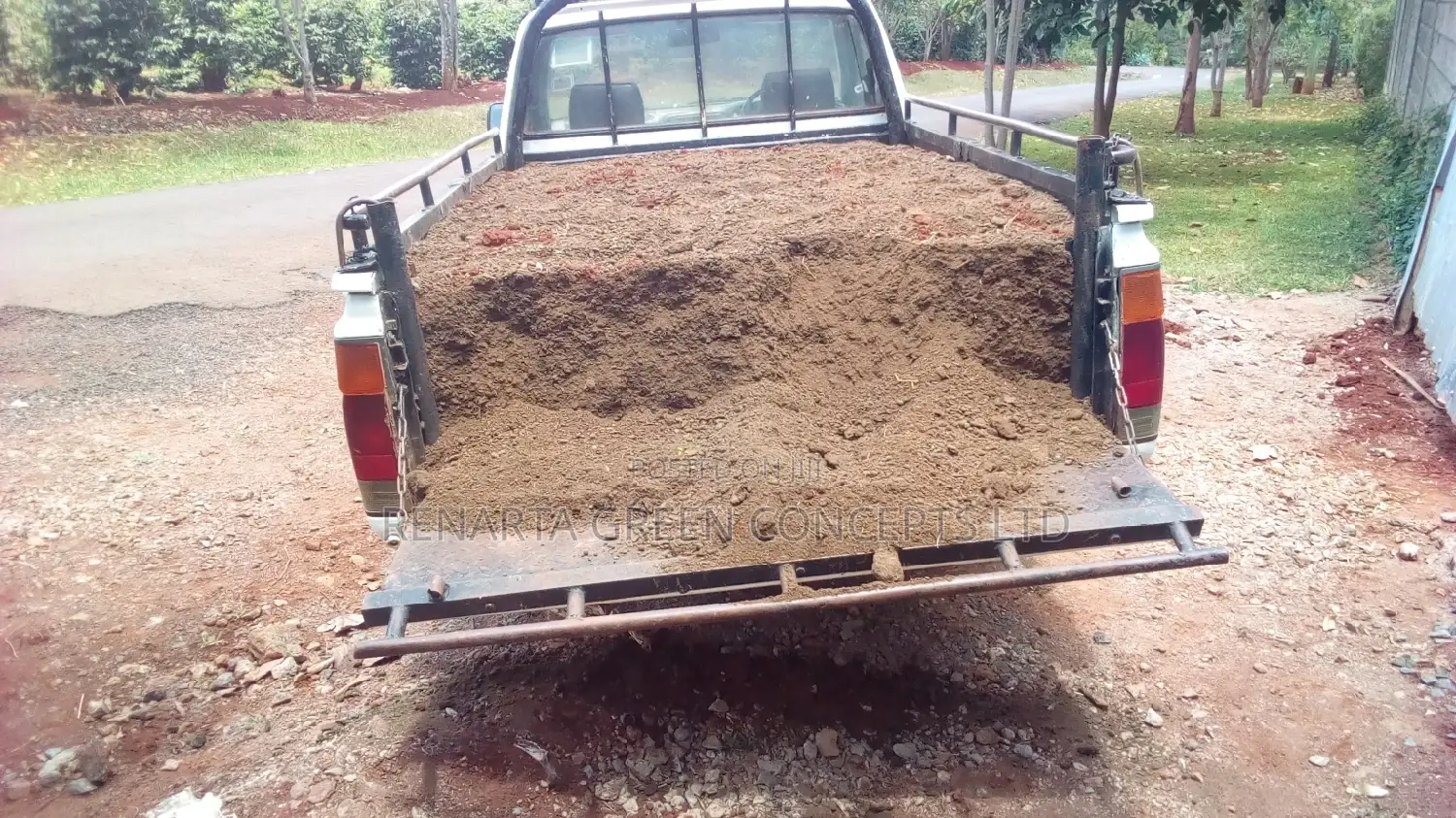 Goat Manure
