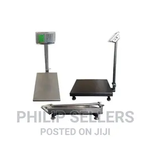 Heavy Duty Industrial Digital Platform Weigh Scale Silver