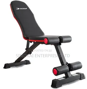 Adjustable Dumbbells Bench
