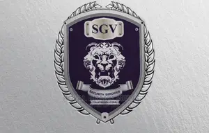 Professional Logo Design
