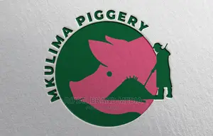 Professional Logo Design