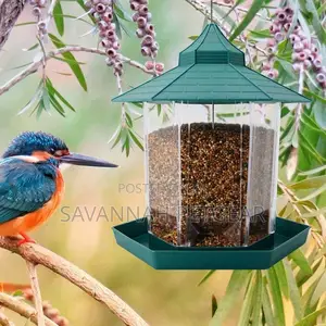 Garden Panorama Hanging Bird Feeder