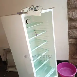 Fridge Repair Services