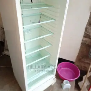 Fridge Repair Services