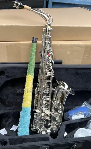 Suzuki Bb Alto Saxaphone Musical Instruments