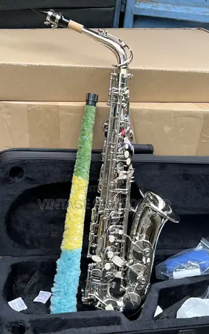 Suzuki Bb Alto Saxaphone Musical Instruments