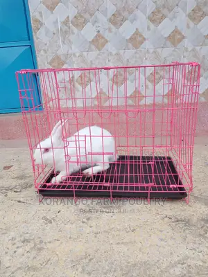 Rabbit Cage