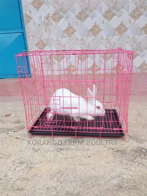 Rabbit Cage