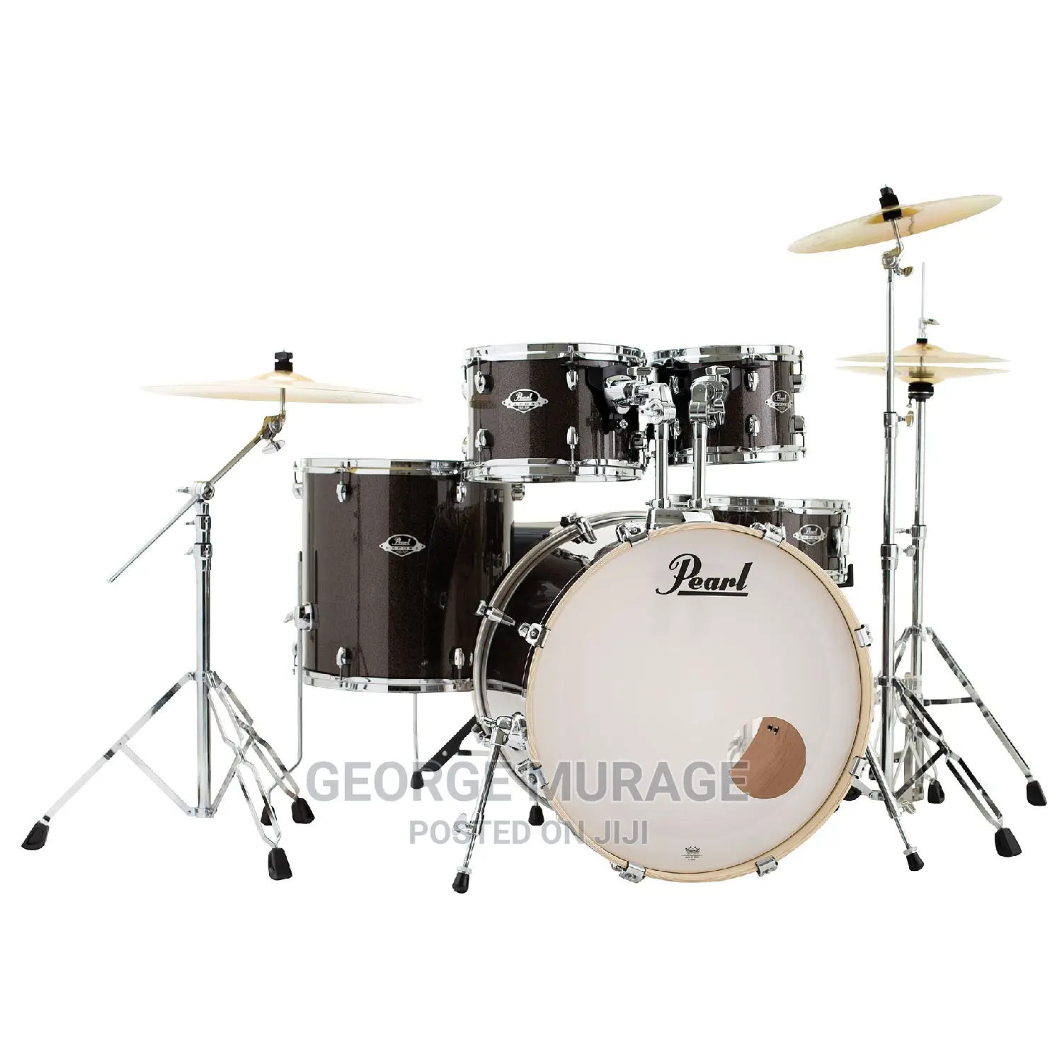 Professional Drummer