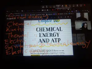 Online and Home Schooling Tuition