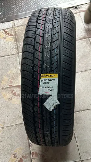 225/60r18 Dunlop