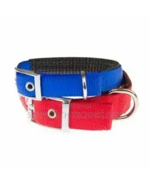 Collar for Dogs