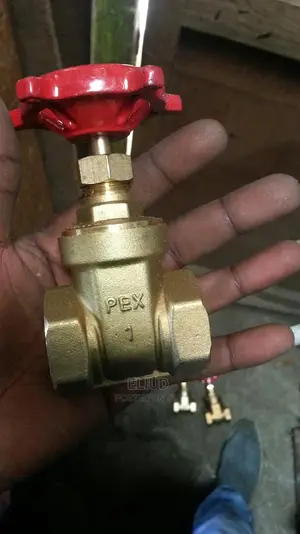 Gates Valves