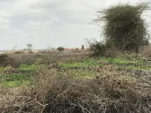 10 Acre Arthi River