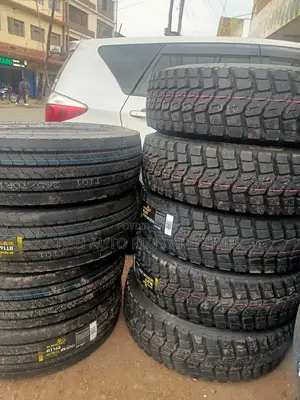 265/70r19.5 Black Lion