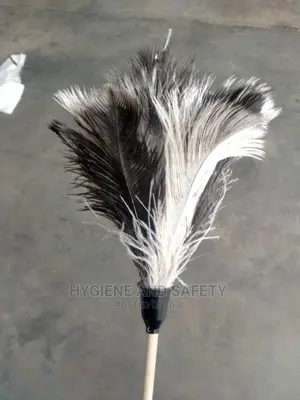 Feather Duster