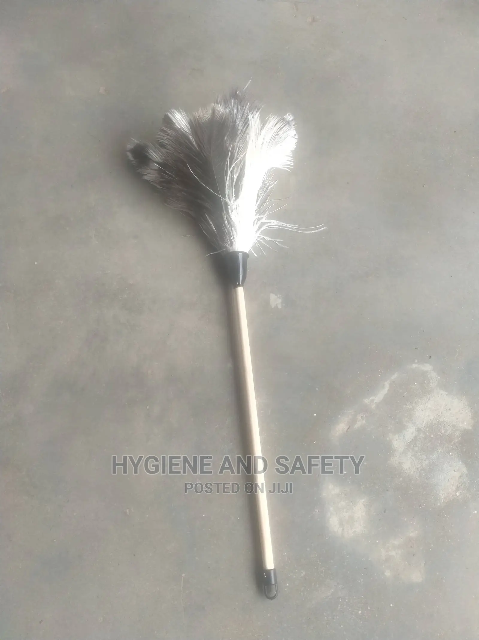 Feather Duster