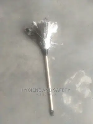 Feather Duster