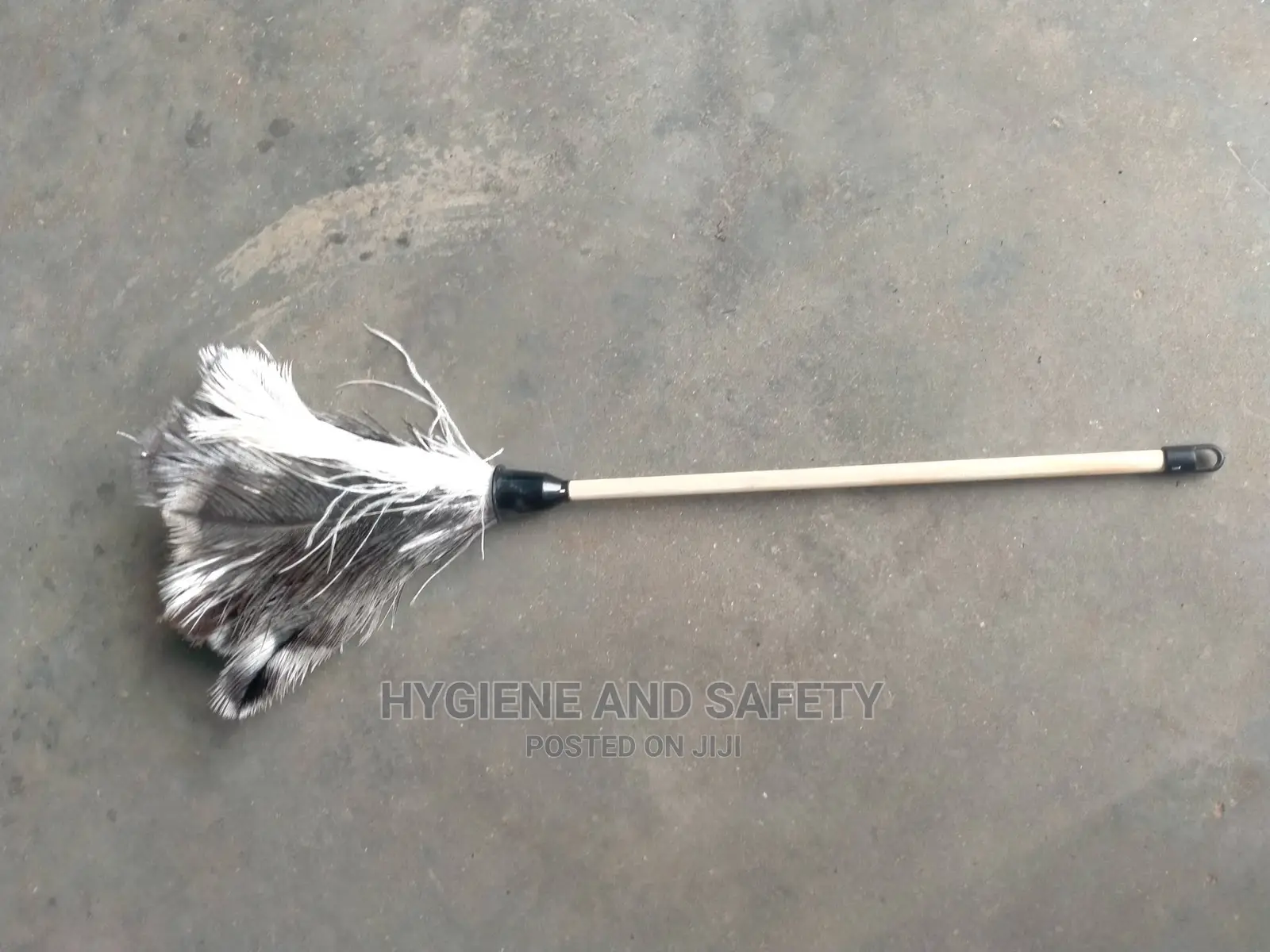 Feather Duster