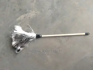 Feather Duster
