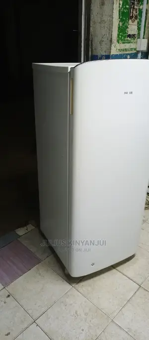 Samsung Fridge One Door