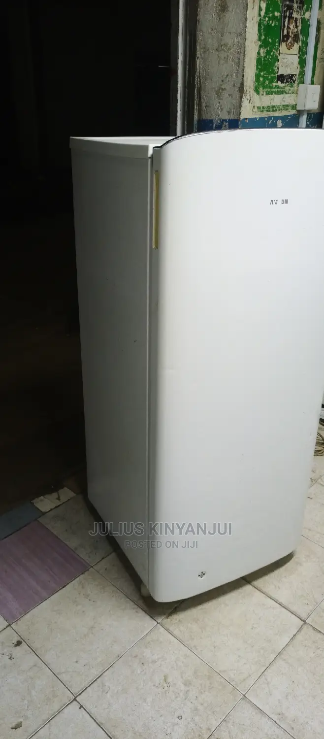 Samsung Fridge One Door
