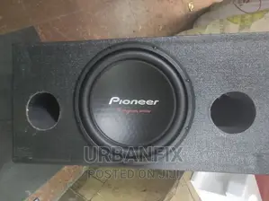 1600 Watts Double Coil Subwoofer With Cabinet
