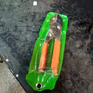 Short Prunning Shears
