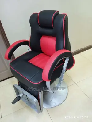 Barber/Salon Chair