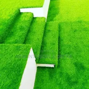 Grass Carpet Grass Carpets Grass Carpets Grass Carpets Grass