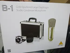 Berigher B1 Studio Condenser Microphone