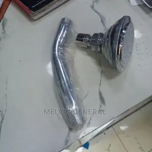 Stainless Steel Shower Head With Arm