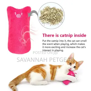 Smiley Cat Chew Toy With Catnip Inside
