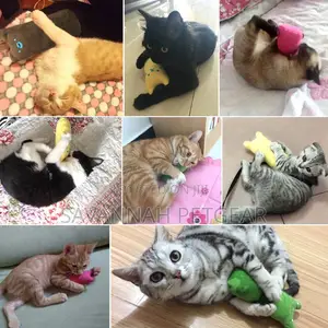Smiley Cat Chew Toy With Catnip Inside