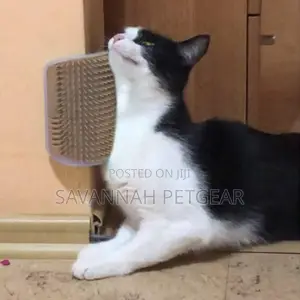 Self Groomer Cat Brush Toy With Catnip Inside