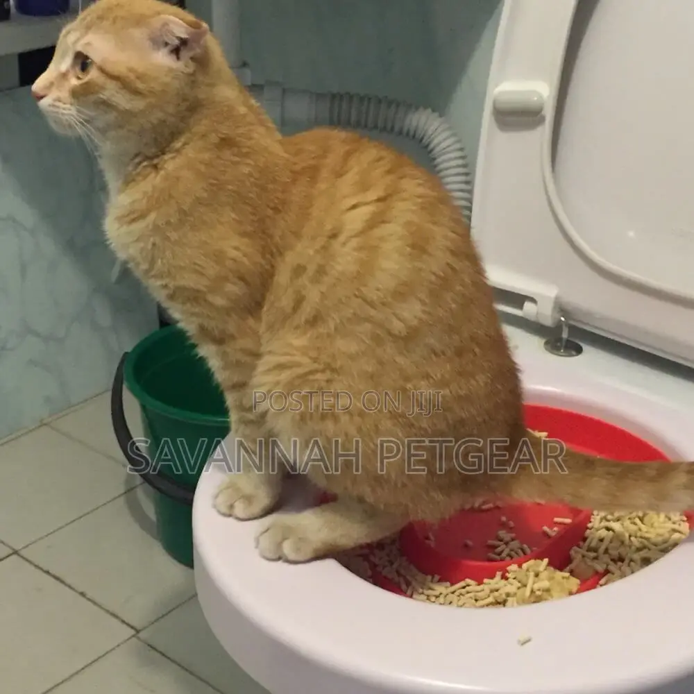 Litter Kwitter Cat Training Toilet System