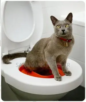 Litter Kwitter Cat Training Toilet System