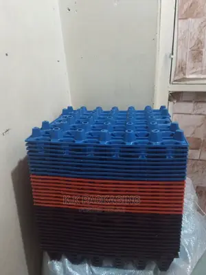 Plastic Perforated Trays