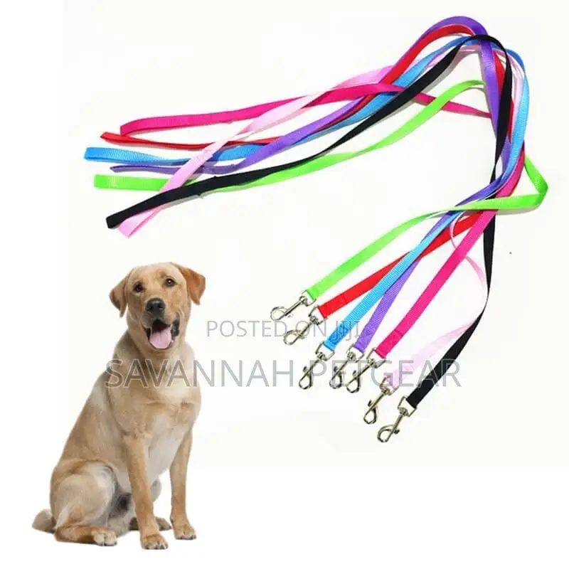 Light Nylon Dog Leash