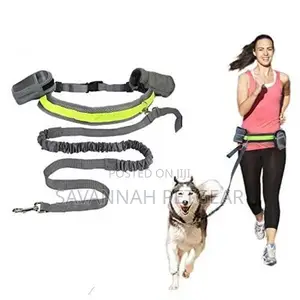 Hands-Free Running Dog Leash, Elastic, Reflective + Pouch +