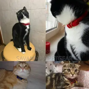 Soft Velvet Cat Collar for for Cats Small Dogs