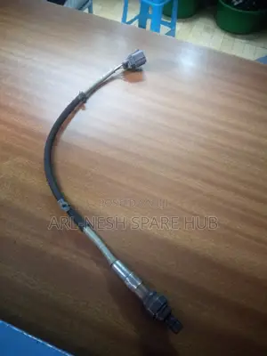 Oxygen Sensor
