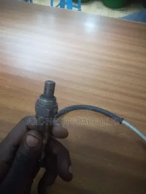 Oxygen Sensor