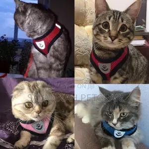 Explorer Comfy Cat Harness + Free Leash
