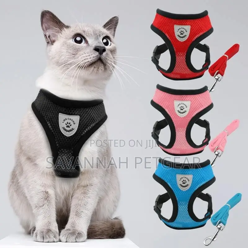 Explorer Comfy Cat Harness + Free Leash