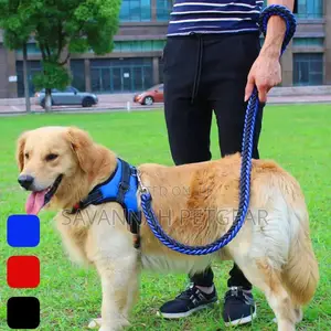 Padded Back Sports Big Dog Harness + Leash