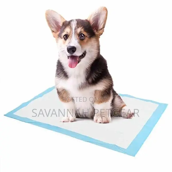 Super Absorbent Disposable Dog Potty Training Pee Pads - L