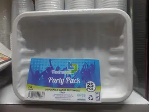 25pcs Plastic Plates
